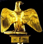 Aigle imp�rial